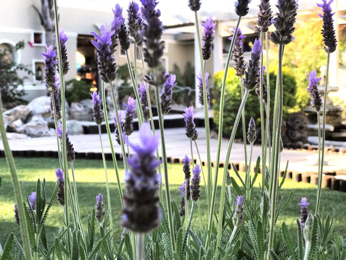 Kaya La Provence Country house Plumstead